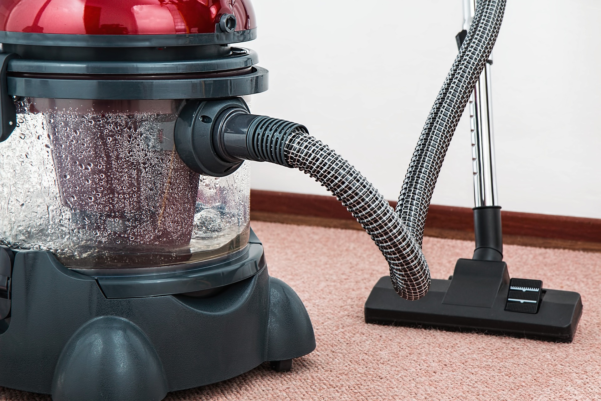 Best Cordless Wet Dry Vacuum For Home