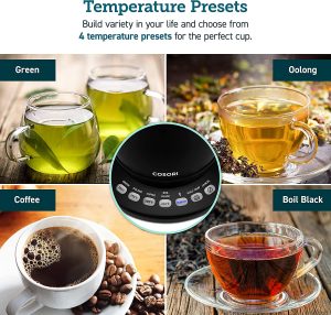 Best Small Electric Tea Kettles with Temperature Control